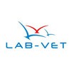 pt-client-img